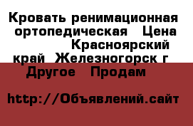 Кровать ренимационная- ортопедическая › Цена ­ 12 500 - Красноярский край, Железногорск г. Другое » Продам   